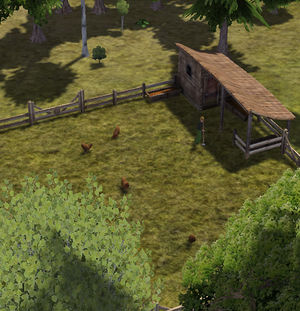 banished livestock trader